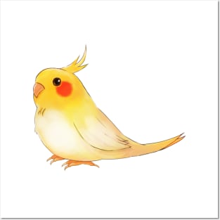 Cute Cockatiel Posters and Art